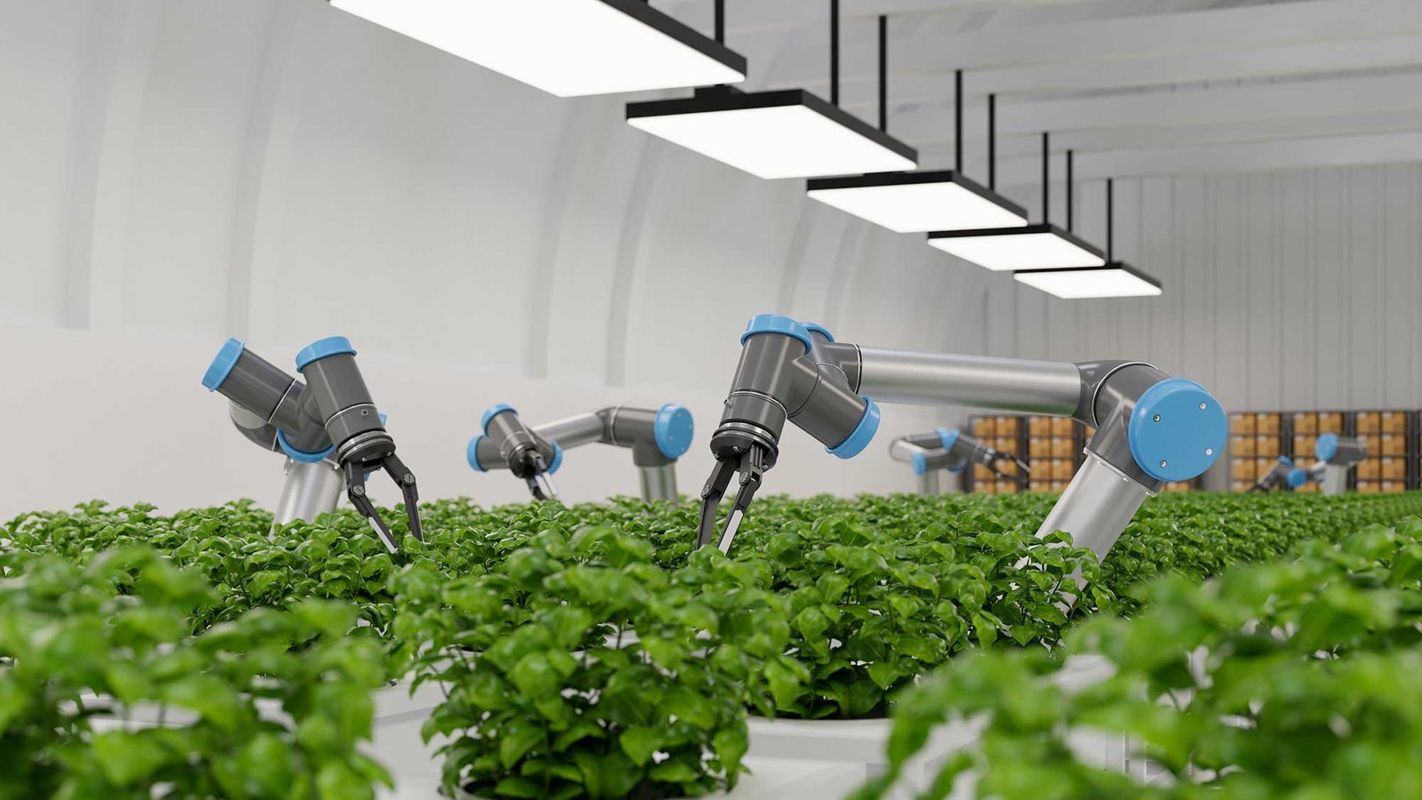 robotic-in-agriculture-futuristic-concept-agricult-2023-11-27-05-25-32-utc.jpg